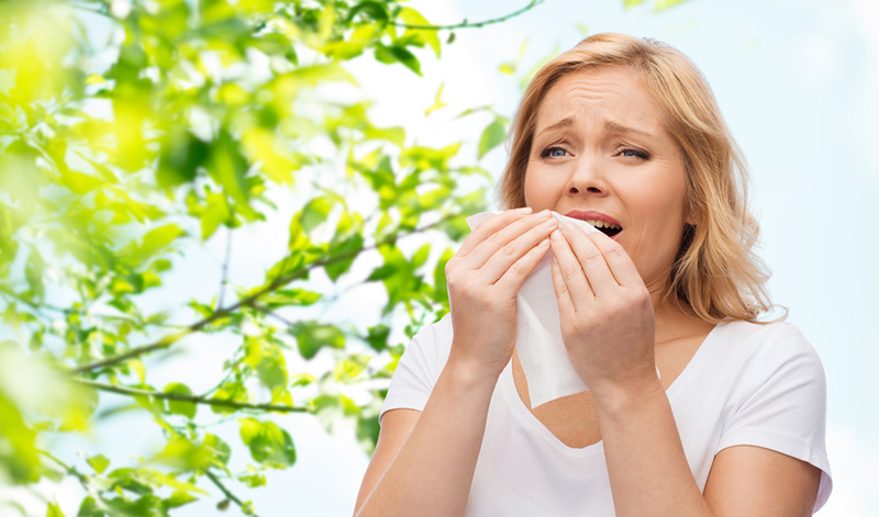 Why this spring could be particularly tough for hay fever sufferers