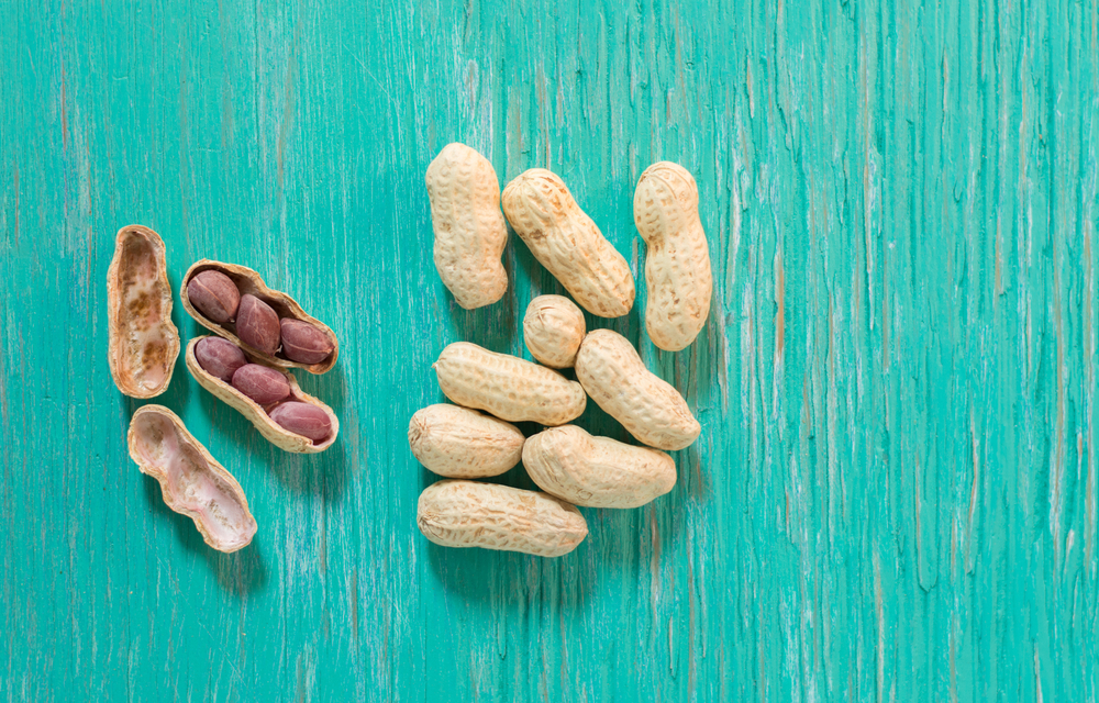 Peanut allergy research