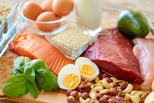 csiro-finds-protein-improves-health
